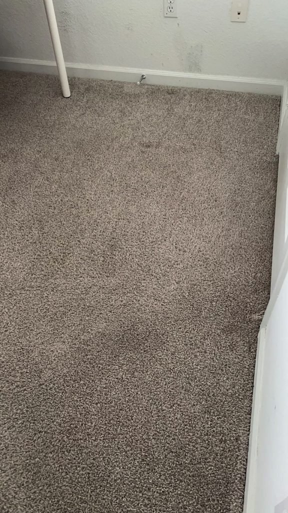 Rug Cleaning Long Beach, CA